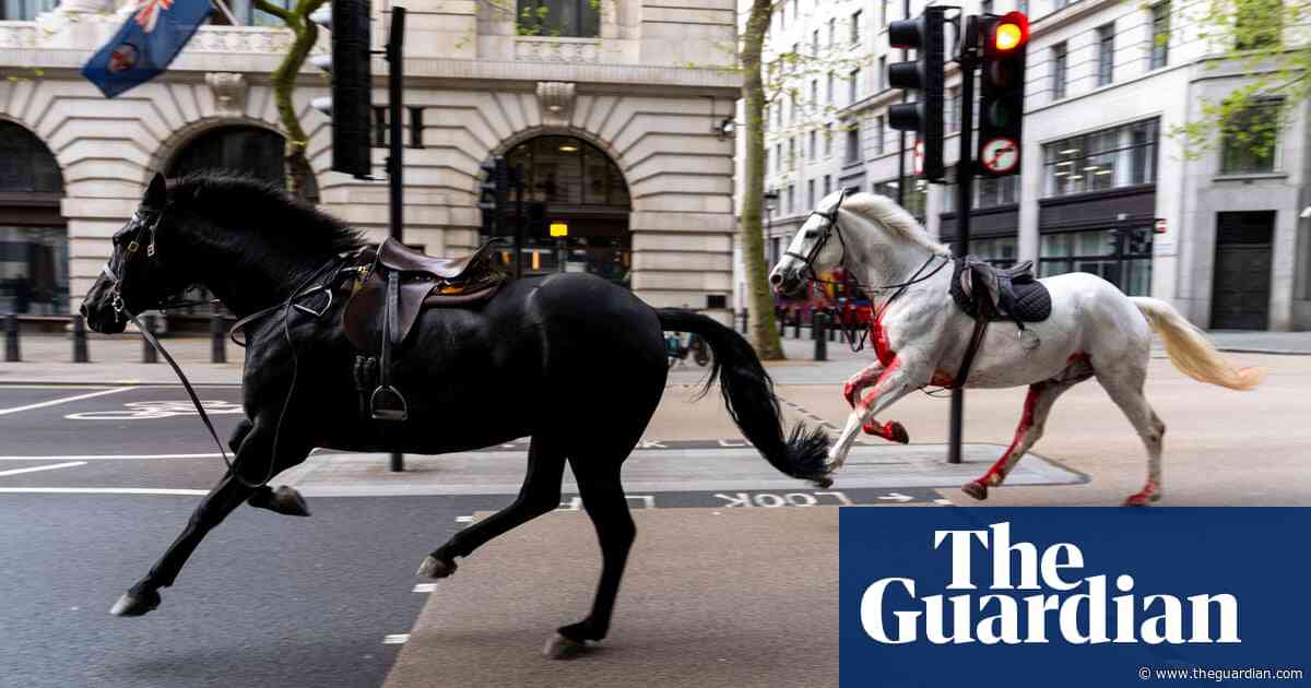 Two horses, one covered in blood, run loose in central London