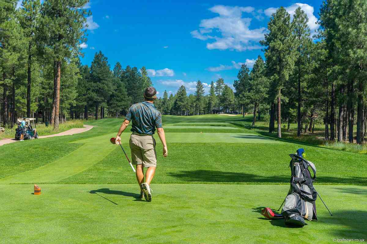 Benefits of Nutrition and Supplements for Golfers