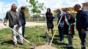 Al parco Tommaso Forti di Fiumicino si piantano 100 nuovi alberi