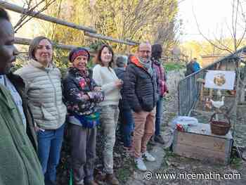 Huit citoyens et la Maison d’éducation à l’alimentation durable créent le premier poulailler collectif de Mouans-Sartoux