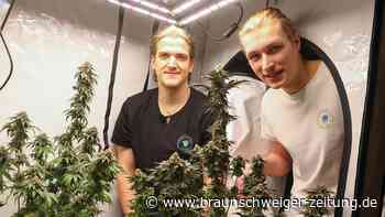 Legales Gras: Cannabis Social Club Wolfsburg hat große Visionen