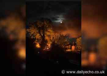Bursledon garden fire tears through sheds