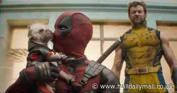 'Britain's ugliest dog' Peggy from East Yorkshire features in new Deadpool & Wolverine trailer