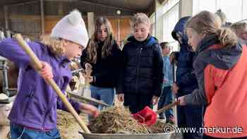 Bauernhof erleben: Drittklässler besuchen den Hartl-Hof