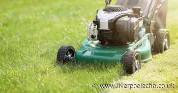 Expert has little-known lawn mower trick for 'thick and healthy' grass
