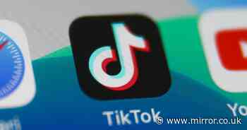 Do you think TikTok should be banned? Vote in our poll and have your say