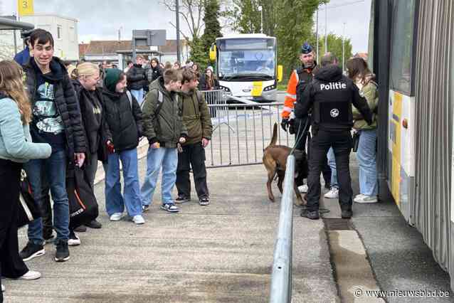 Grote controle met drugshonden aan station van Diksmuide: “Gericht tegen overlast van vechtpartijen en drugsbezit”