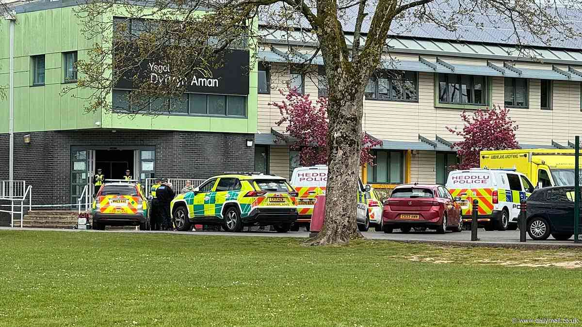 Person is arrested and three people injured after 'knife attack' at Ammanford secondary school - as classrooms remain in 'lockdown'