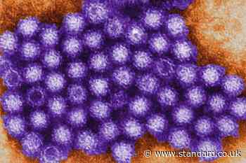 What is norovirus? Virus cases in England 'much higher' than last year