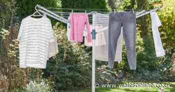 Lakeland outdoor clothes airer is now £30 off in time to dry clothes outdoors again