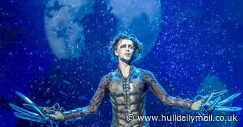 'If you're planning one visit to a show in Hull this year, make it this one' - review of Edward Scissorhands