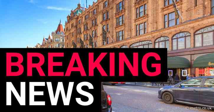 Man charged with sexual assault and kidnap of girl, 9, outside Harrods