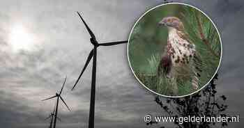 Tientallen windmolens rond Veluwe mogen toch, maar alleen als ze in de zomer stil staan