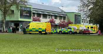 Ammanford school stabbing: Everything police, parents, pupils and school governors have said