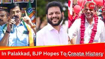 Palakkad Lok Sabha Constituency: Is Growing BJP A Threat To CPM, Congress In Kerala Seat?