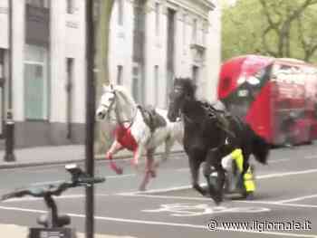 Far West a Londra con cavalli in fuga. Ci sono danni e feriti