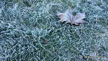 Cover your crops: Frost advisory issued for Niagara Region