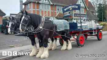 New home approved for famous brewery shire horses