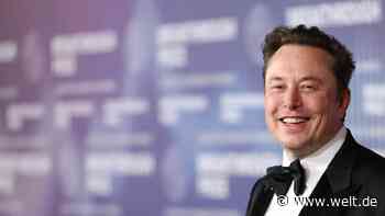 Elon Musk verspricht günstigere Tesla-Modelle für kommendes Jahr