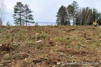 ‘Why cut them down?’: Tree clearing at Batchawana Bay Provincial Park angers Algoma resident