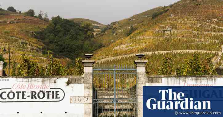 Rail route of the month: vines on the line from Avignon to Lyon, France