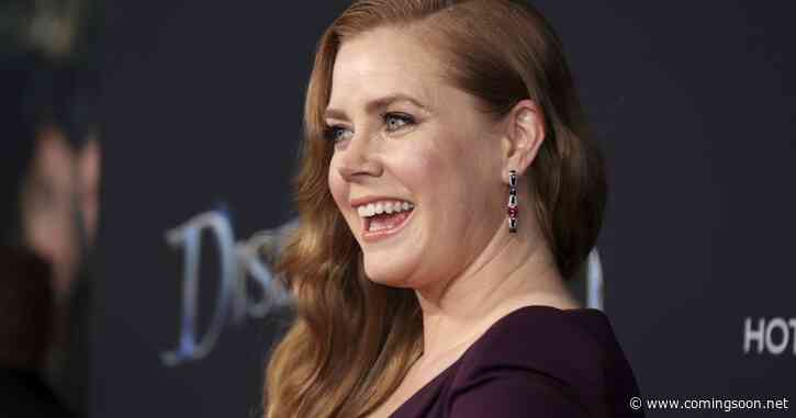 At the Sea: Amy Adams Will Star in New Drama Movie From Pieces of a Woman Director
