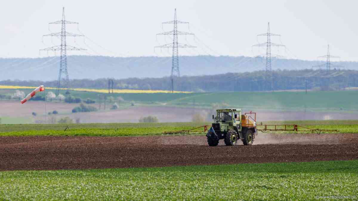 EU-Parlament stimmt schwächeren Umweltauflagen für Bauern zu