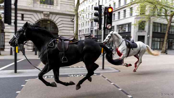 Koninklijke paarden op hol geslagen in het centrum van Londen