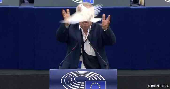 Pro-Putin MEP’s bizarre call for peace in Ukraine with dove hidden in a bag
