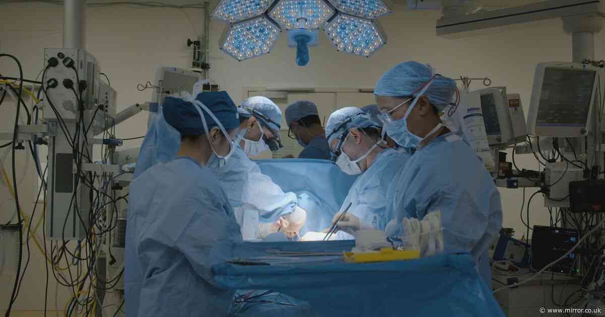 Grandma's main artery replaced with 'frozen elephant trunk' in groundbreaking heart surgery