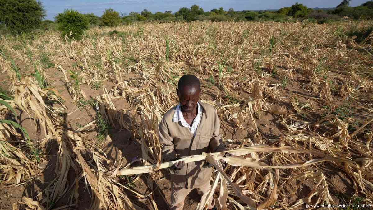 Schreckliche Dürre bedroht 24 Millionen Menschen in Afrika