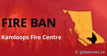 Annual Category 3 fire ban coming to Southern Interior