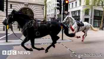 Watch: How runaway horses caused chaos in London