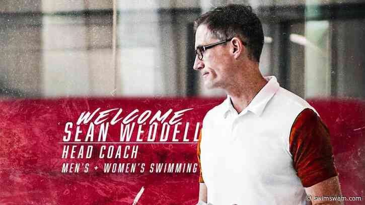 Sean Weddell Named New Head Swimming Coach At Lenoir-Rhyne