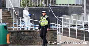 20 pictures which show scale of response to Ammanford school stabbing