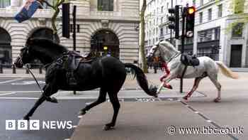 Four hurt as runaway horses bolt across London