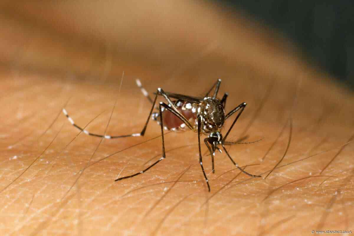 Over half of world’s population ‘could be at risk of mosquito-borne diseases’