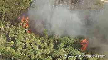 Crews battle grass fire in SW Miami-Dade, portion of Turnpike closed nearby