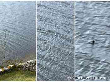 ’Nessie’ sighting vaults Canadian couple into media spotlight after photo in Scotland