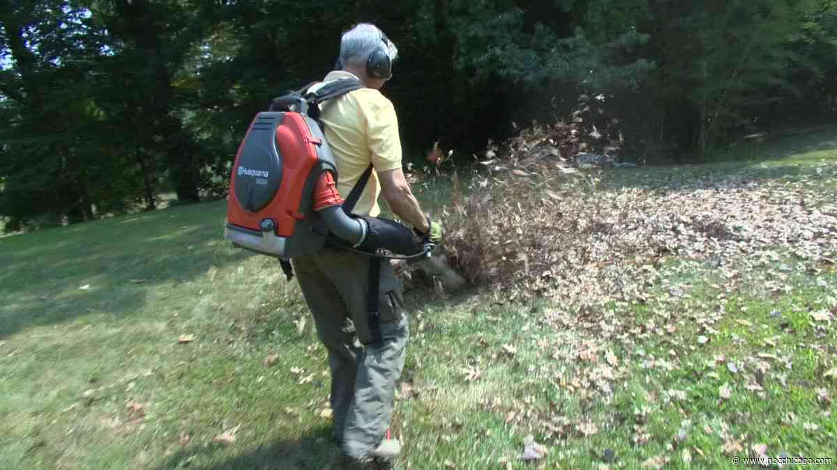 Why more communities are banning gas-powered leaf blowers