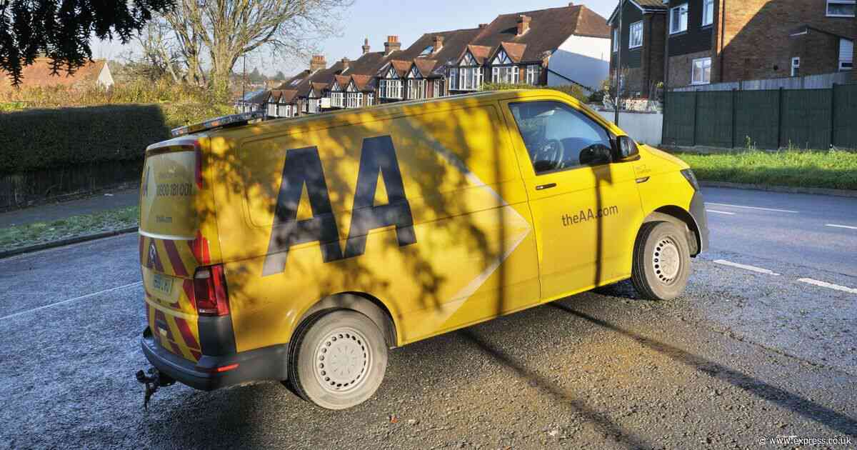 The AA's profits plunge but breakdown giant's boss insists progress is being made