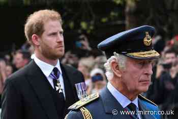 Prince Harry could reconcile with Charles but has 'big job' to do with other key royal