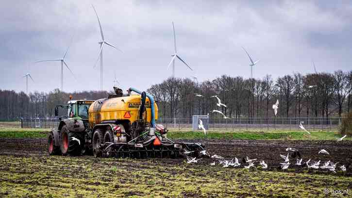Boerenorganisaties komen met eigen 'crisisplan' voor mestproblematiek