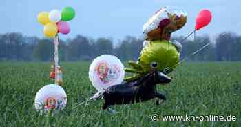 Ballons und Süßigkeiten im Wald sollen vermissten sechsjährigen Arian anlocken