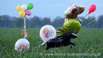 Suche nach Arian: Ballons und Süßigkeiten im Wald aufgehängt