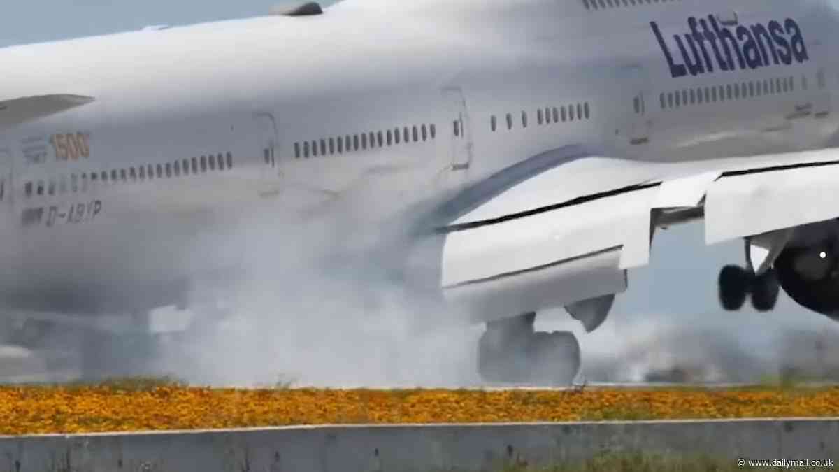 Scary video shows Lufthansa Boeing 747 bounce hard off LAX runway twice during aborted landing expert says is the roughest he's ever seen