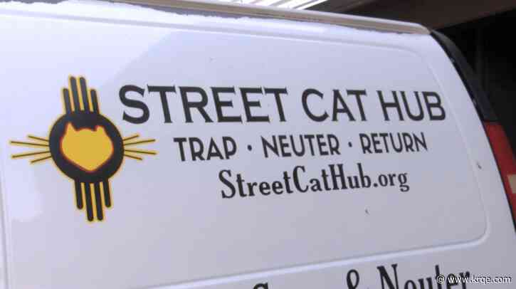 Albuquerque nonprofit that neuters stray cats hopes to expand operation