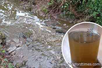 'No action yet' over Herefordshire's most polluted stream