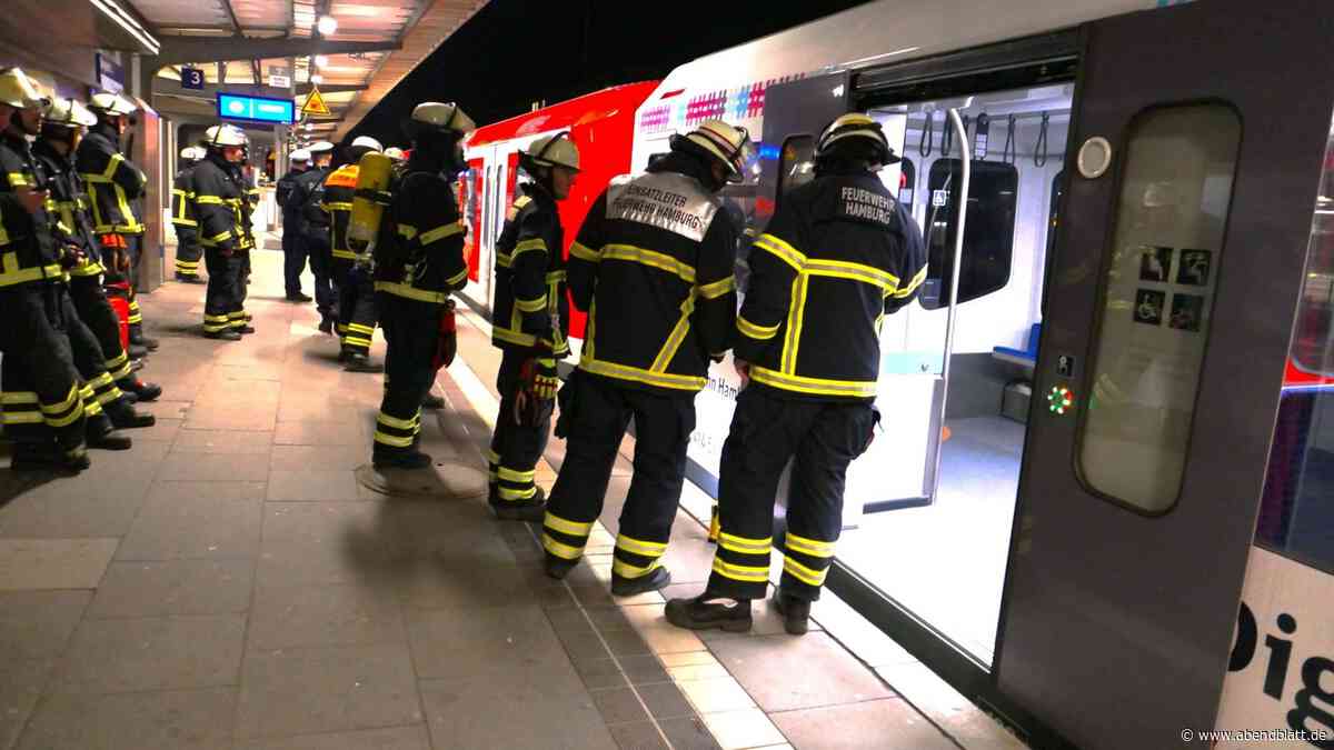 Rauch unter S-Bahn – Bahnhof Bergedorf teilweise geräumt