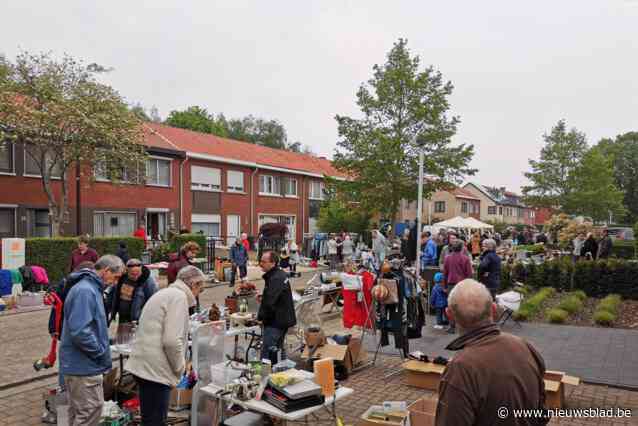Bomenwijk organiseert twaalfde keer rommelmarkt